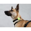 ZEE.DOG AIRTAG HOLDER LIME